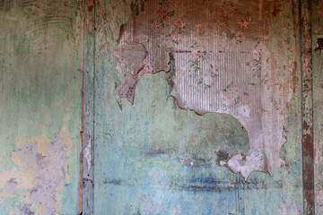 Antique wallpaper with rose pattern peeling off a wall