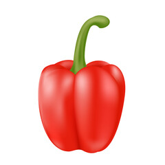 Fresh sweet red or bell pepper, organic vegetables. Cooking ingredients natural food. PNG 3d illustration isolated on transparent background.