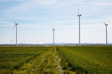 Wiatraki prądotwórcze są rozmieszczone w sposób strategiczny, tworząc imponującą farmę wiatrową, która przyczynia się do zrównoważonego rozwoju energetycznego. Energetyczne giganty wznoszą się dumnie  - obrazy, fototapety, plakaty