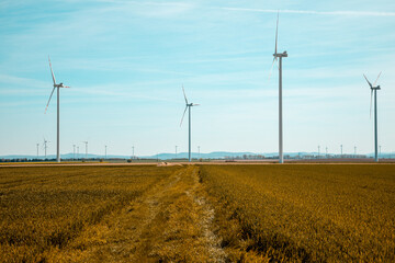 Wiatraki prądotwórcze są rozmieszczone w sposób strategiczny, tworząc imponującą farmę wiatrową, która przyczynia się do zrównoważonego rozwoju energetycznego. Energetyczne giganty wznoszą się dumnie  - obrazy, fototapety, plakaty
