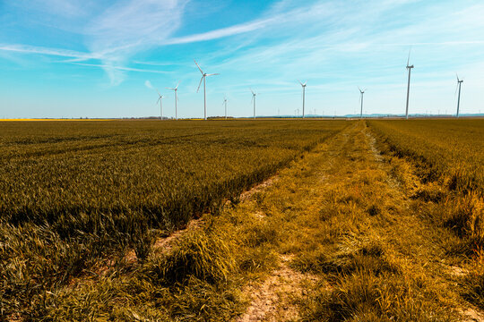 Wiatraki prądotwórcze są rozmieszczone w sposób strategiczny, tworząc imponującą farmę wiatrową, która przyczynia się do zrównoważonego rozwoju energetycznego. Energetyczne giganty wznoszą się dumnie 