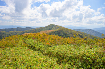 金剛堂山山頂からの紅葉
