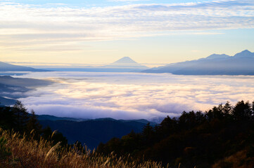 高ボッチ高原からの富士山と雲海 - obrazy, fototapety, plakaty