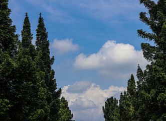 Beautiful blue sky in Bogor west java indonesia