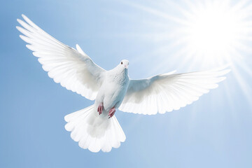 Fototapeta na wymiar AI generative. White dove against blue sky