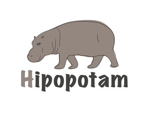 Polish alphabet with the image of a hippopotamus. Translation from Polish: hippopotamus. vector cartoon hand drawn illustration