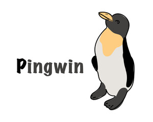 Polish alphabet with a picture of a penguin. Translation from Polish: penguin. vector cartoon hand drawn illustration