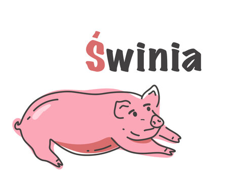 Polish alphabet with a picture of a pig. Translation from Polish: pig. vector cartoon hand drawn illustration