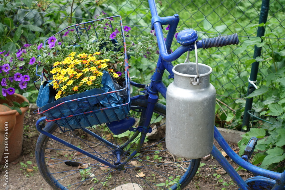 Wall mural Blaues Fahrrad mit Blumenschmuck