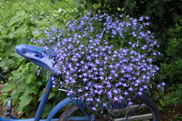 Blaues Fahrrad mit Blumenschmuck