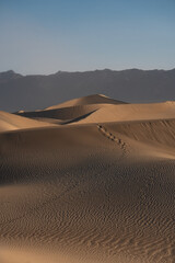 Fototapeta na wymiar Death Valley, Mesquite sand dunes in the morning sun, footprints leading towards a dune
