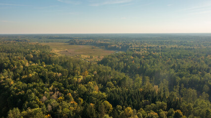 Polish part of Bialowieza Forest to east