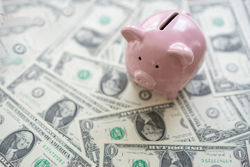 Pink piggy bank on the banknote
