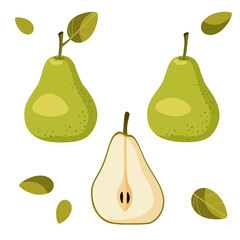 one green pear on a white background with a leaf, without a leaf, half a pear. vector illustration. autumn pear harvest. cut pear
