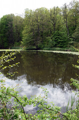 Ernst-Ludwigsteich bei Langen