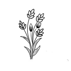 minimalist flower and leaf doodle cute hand-drawn line art on PNG background 