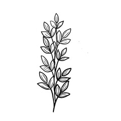 Hand-Drawn Line Art of Leaves and Branches on Transparent PNG Background