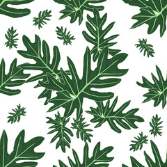 Seamless Pattern with Green Monstera tropical leaf on white background. Fabric texture.