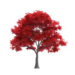 red tree isolated on white