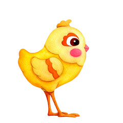 Yellow chick. Funny cartoon character. Watercolor illustration on transparent  background, hand drawn.