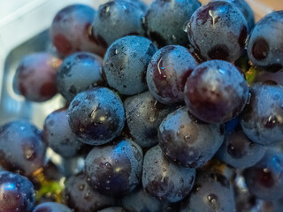 grapes close up