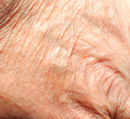 Fototapeta premium close up of human old and wrinkled skin
