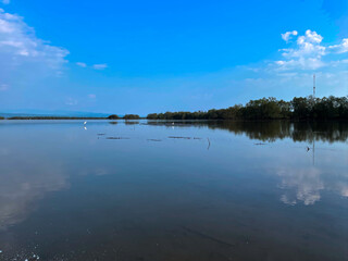 reflection of clouds on the lake with birds.
