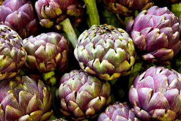composition of artichokes of the Romanesque variety