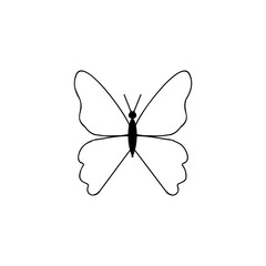 butterfly, a sketch of a vector drawing, isolated on a white background. a collection of insects