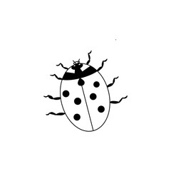 ladybug, sketch of a vector drawing, isolated on a white background. a collection of insects