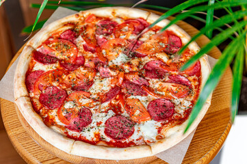 Tasty pizza and cooking ingredients tomatoes basil