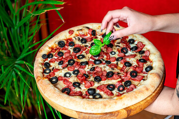 Big and tasty pizza with different types of meat