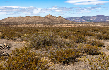 Landscape shot of the Argentinian Pampa in the Province Neuquén - Traveling South America