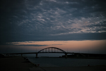 むすっとしてないでこっちおいでよ