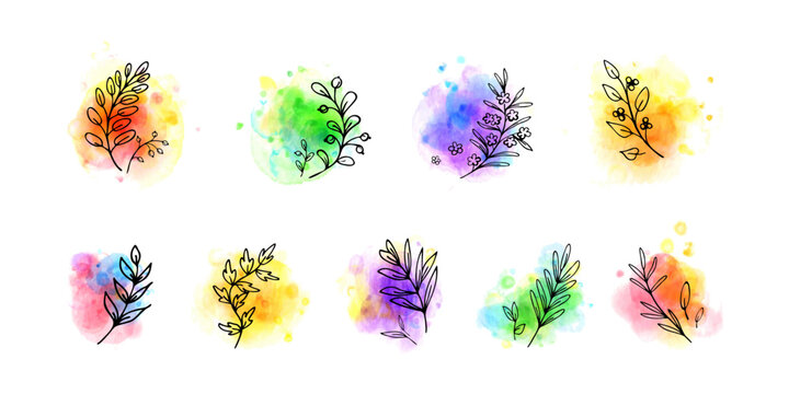 Hand drawn herbs, twigs bright aquarelle spots