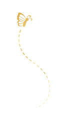 Golden Butterfly with Dotted Line Flight Route. Elegant gold butterfly trail. Vector design elements for spring and summer.