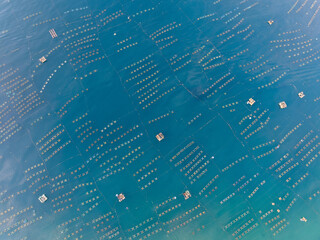 Lobster farm in the sea at Hon Yen islands, Phu Yen province, Viet Nam