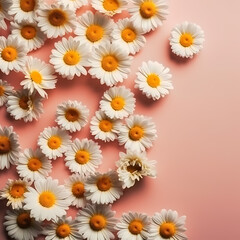 Cute Daisy Flowers Pattern On Peach Color Background Illustration