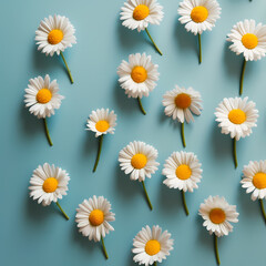 Daisy Flowers Pattern On Soft Color Background Illustration