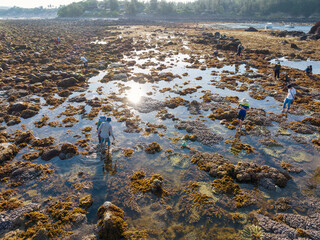 Tourists visiting shallow emerged coral reel during low sea tide at Hon Yen, Phu Yen, Vietnam