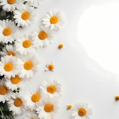 Cute Daisy Flowers Pattern On White Background Illustration