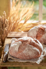 Tasty and homemade loaf of bread in morning in countryside.