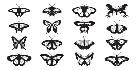Drawing butterflies. Stencil butterfly, moth wings and flying insects. Butterflies tattoo sketch, fly insect black hand drawn engraving. Isolated vector illustration icons set © bank