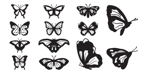 Drawing butterflies. Stencil butterfly, moth wings and flying insects. Butterflies tattoo sketch, fly insect black hand drawn engraving. Isolated vector illustration icons set