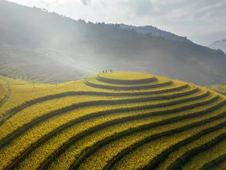 Fotobehang Mu Cang Chai Terraced rice field in Mu Cang Chai, Yen Bai, Vietnam