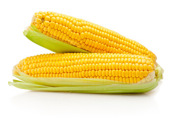 Two corn ears with leaves isolated on white background