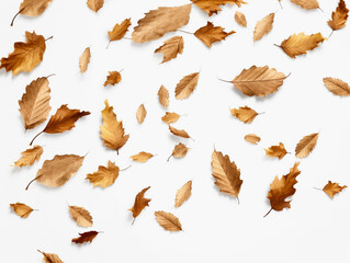 Dried leaves