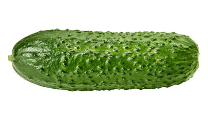 cucumber isolated on white background, full depth of field