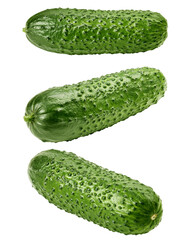 cucumber isolated on white background, full depth of field