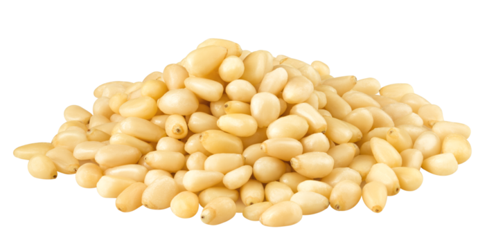 Pine nut isolated on white background, full depth of field